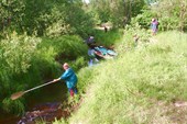 Процесс проведения байдарок по протоке