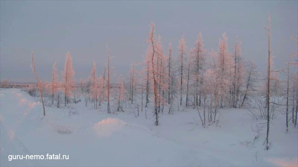 на фото: По дороге в Горно - Князевск. 