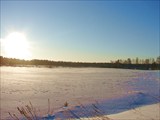 Дорога между Петропавловкой и Кондратьево. 