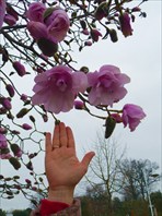 Лозанна в марте