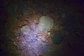 В основном стены пещеры - такой конгломерат