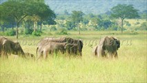 IMG_8935