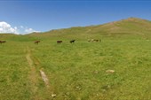 Панорама.