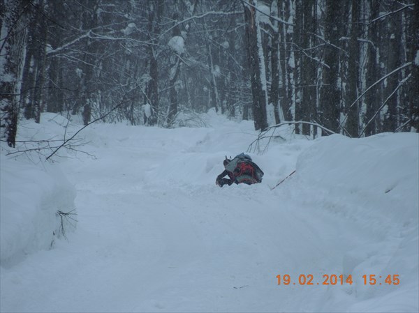 Тут мы ночевали среди леса