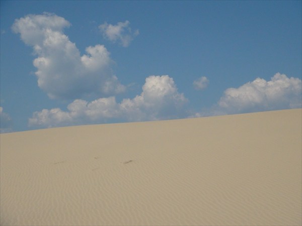 На грани песка и неба