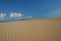 Пустыня в движении 5 (рябь)