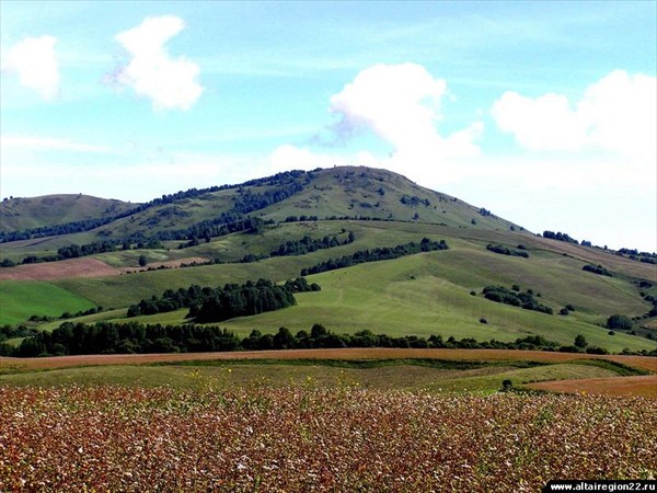 Гора Елтош - главная достопримечательность Касногоского района