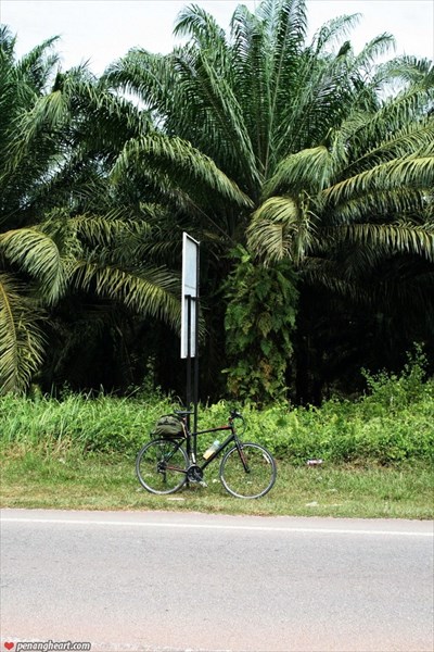 Велосипедом через Малайзию6