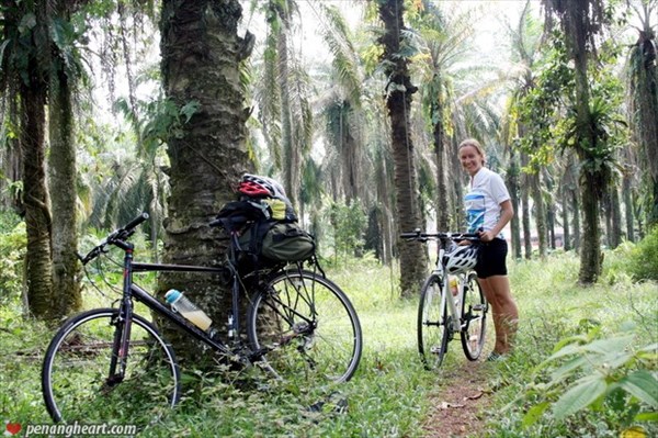 Велосипедом через Малайзию8