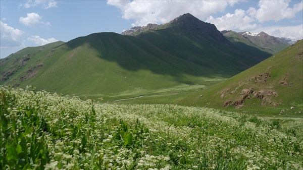 Горы Сарыкамыш