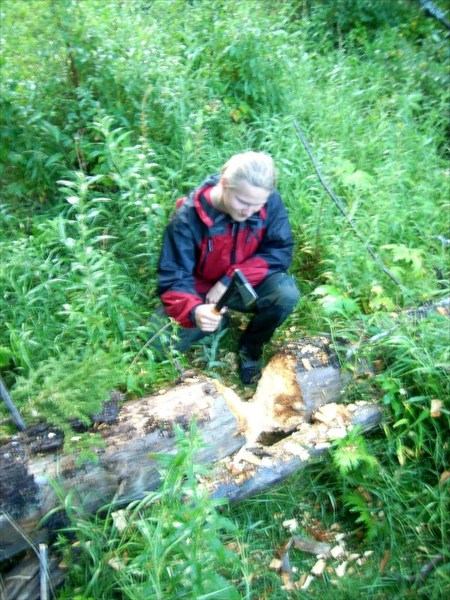 Егор перерубает малюсеньким топором огромное дерево