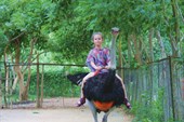 IMG_1934