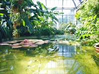 Пражский ботанический сад-Ботанический сад