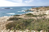 CYPRUS2018_141