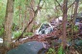 IMG_20180719_122952