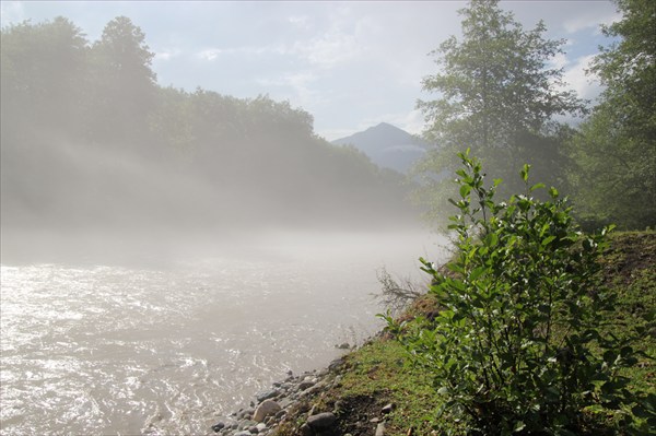 Туман над рекой