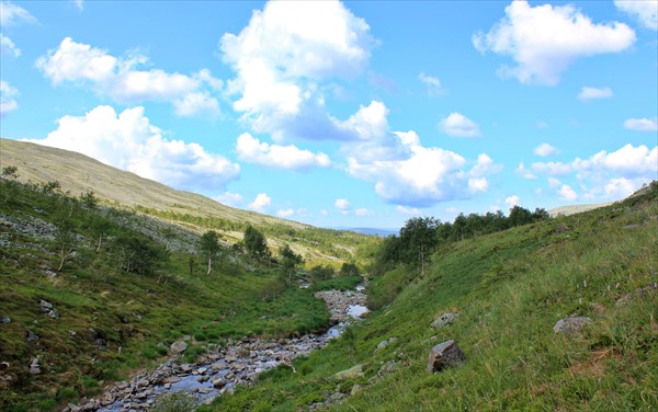 Каменистое русло.