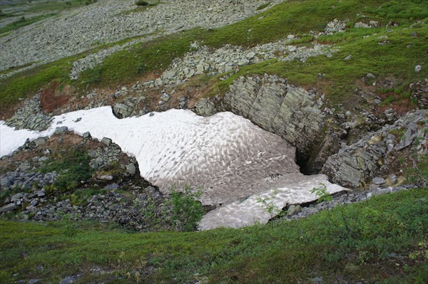 Тающий снежник.