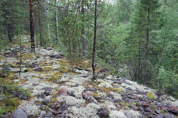Старые сольвинские отвалы.