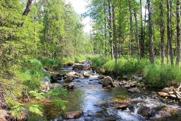 "Дорожка" к Лямпе Кутимской.