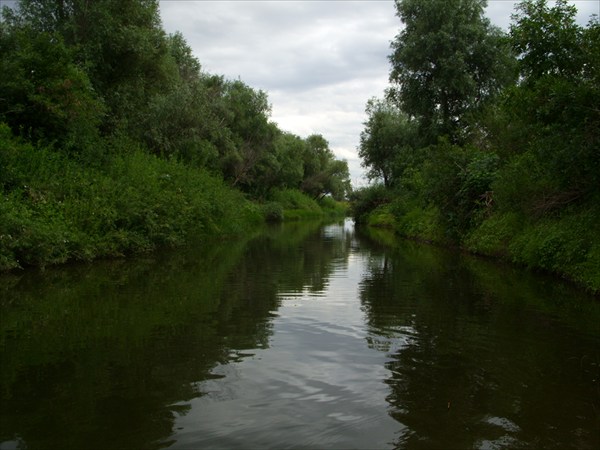 Куркин ерек