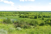 Заболоченная местность в районе деревни Изылы