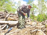 Волк отпиливает досочку для седалища.