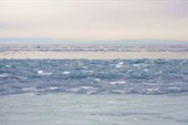 IMG_0471