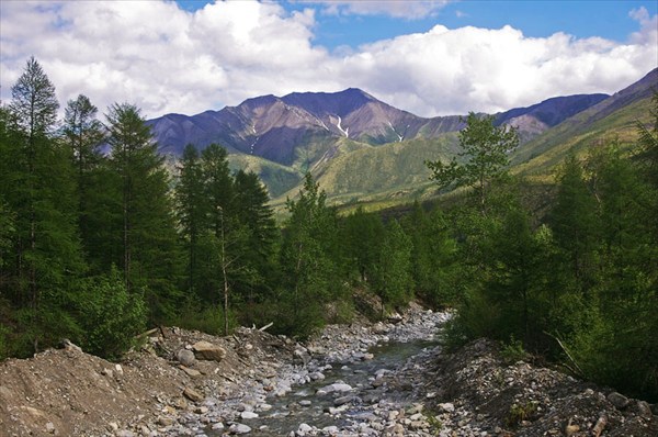 Район Развилки