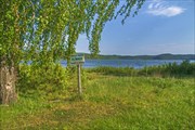 DSC00226