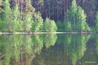 Зеркало нетронутой природы-озеро Тургояк