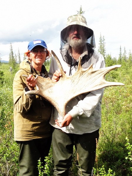 Лоси здесь тоже ходят.