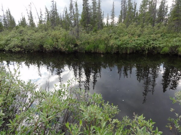 Няньворгаю уже судоходная!