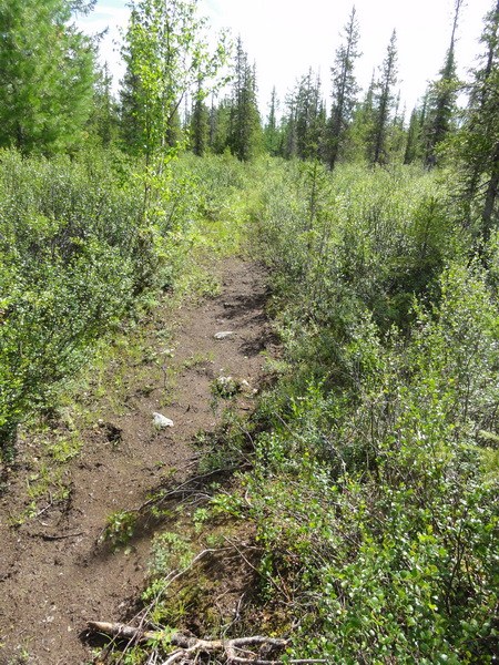 Дорожка на берегу.