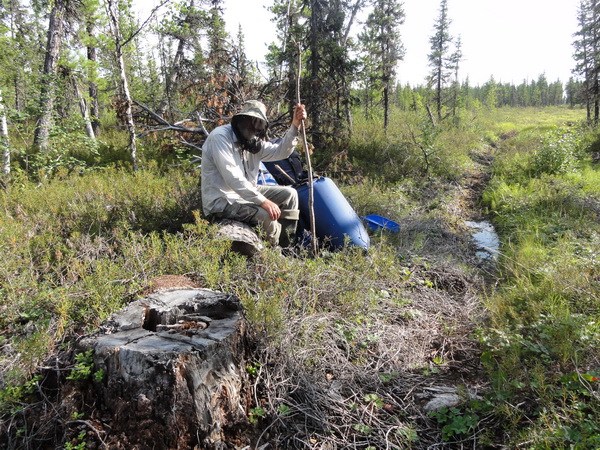 Старик-лесовик.