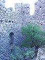 DSC08185