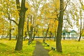 IMG_6509