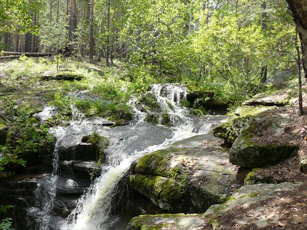 на берегу в лесу на горке