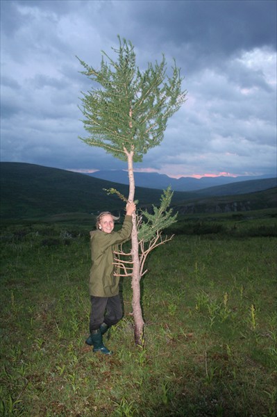 Залезть не получилось:(