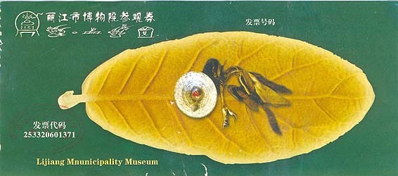 Этнографический музей Наси и Донгда (Лицзян)