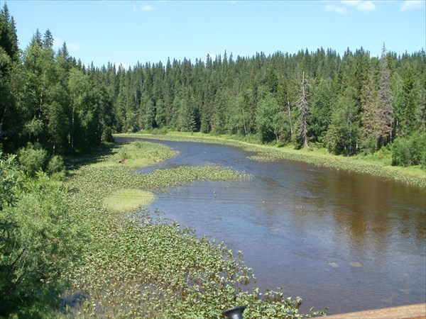 Вильва (с моста)