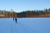 Первый день. Путь через вырубки