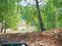 Спуск к Кульметово