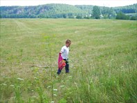 Наконец-то доехали!