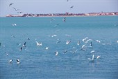 IMG_008