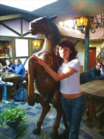 Конь в Beer House