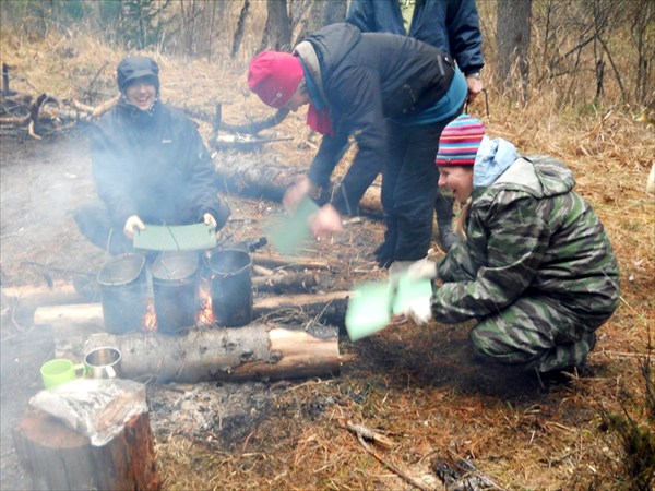 Дрова наисырейшие