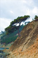 Дивноморское-Джанхот-Прсковеевка-Дивноморское