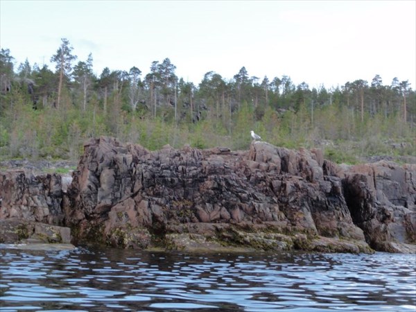 Глубокая Салма, напротив Пеж-острова