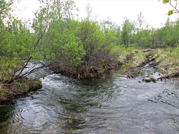 210_Брод ручья Берёзовый
